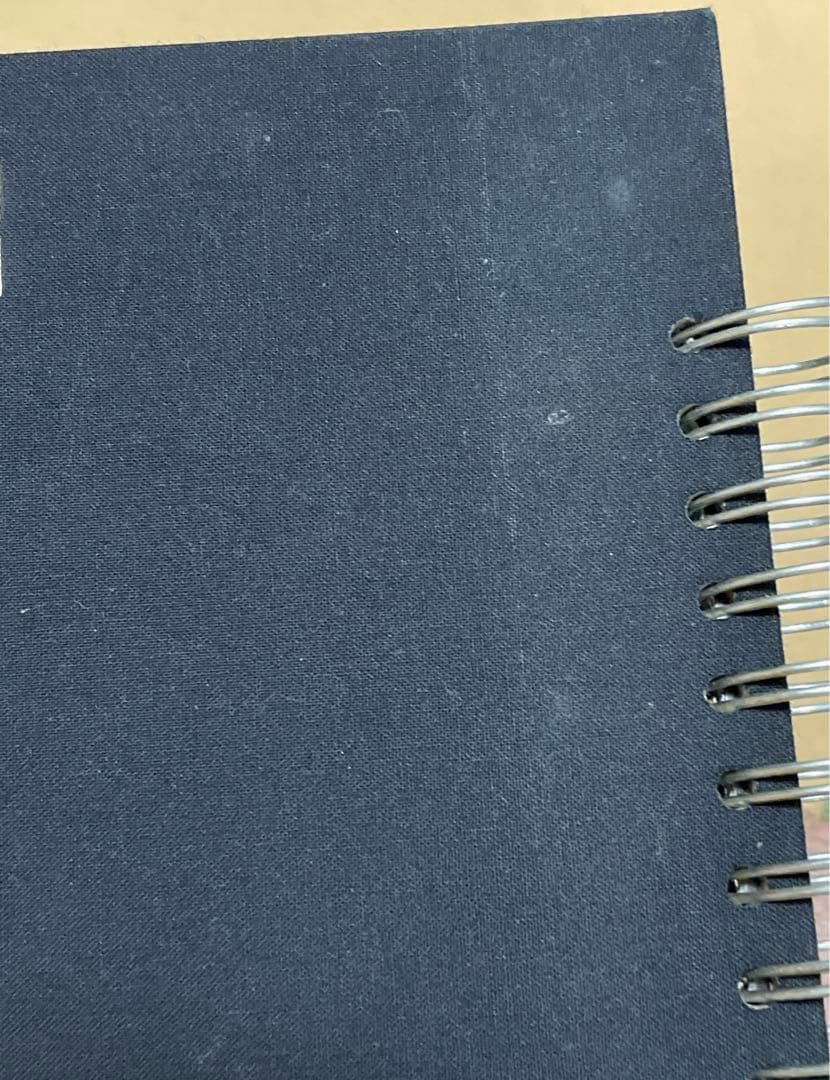 BoA / Special Live: Here I Am 輸入盤DVD2枚組