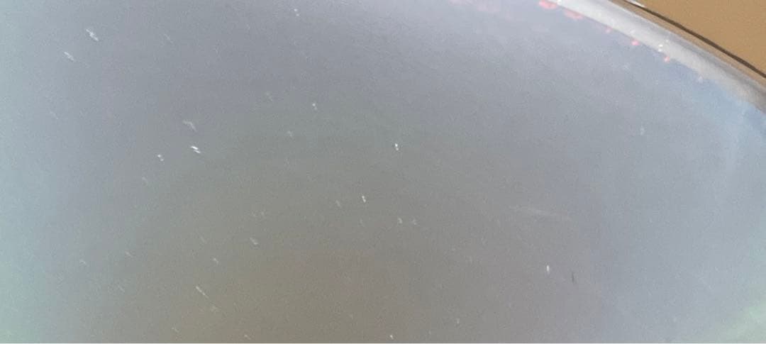 BoA / Special Live: Here I Am 輸入盤DVD2枚組