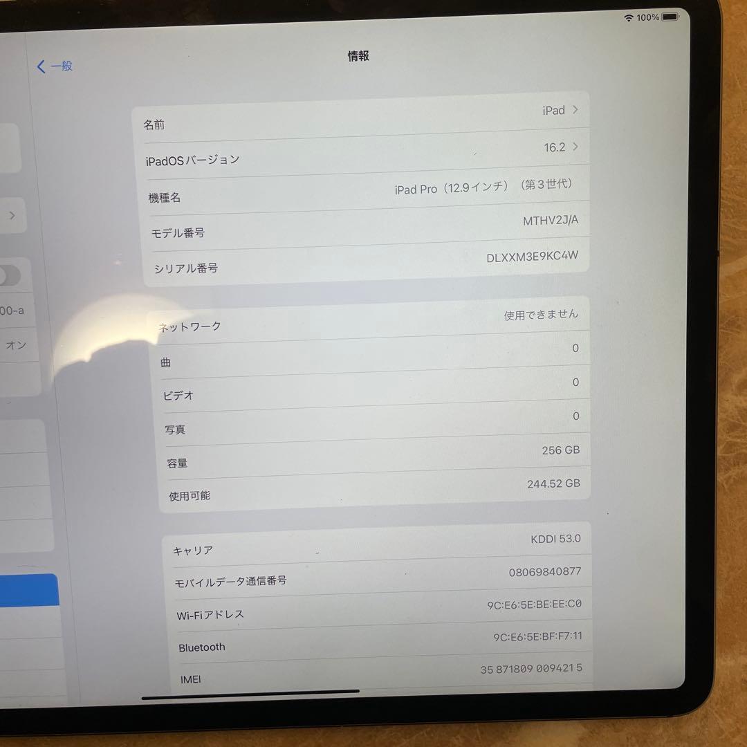 iPad Pro12.9 第三世代　KDDI au Apple pencil付き
