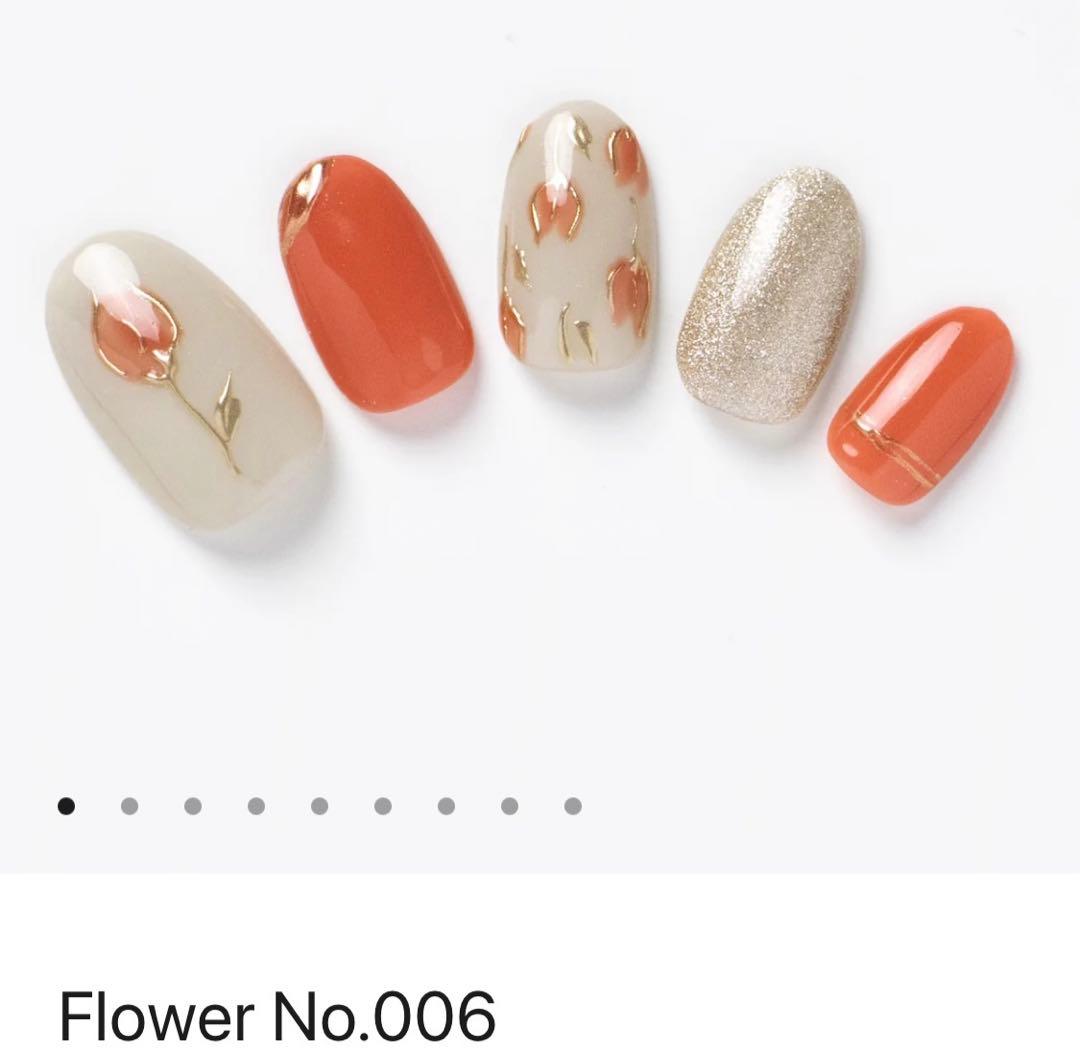 EVERNAIL ネイルチップ　専用接着剤1本付き