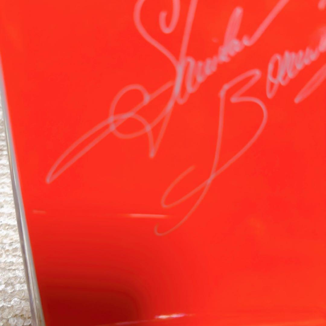 カーテンコールのあとで 初版　スタニスラフ・ブーニン