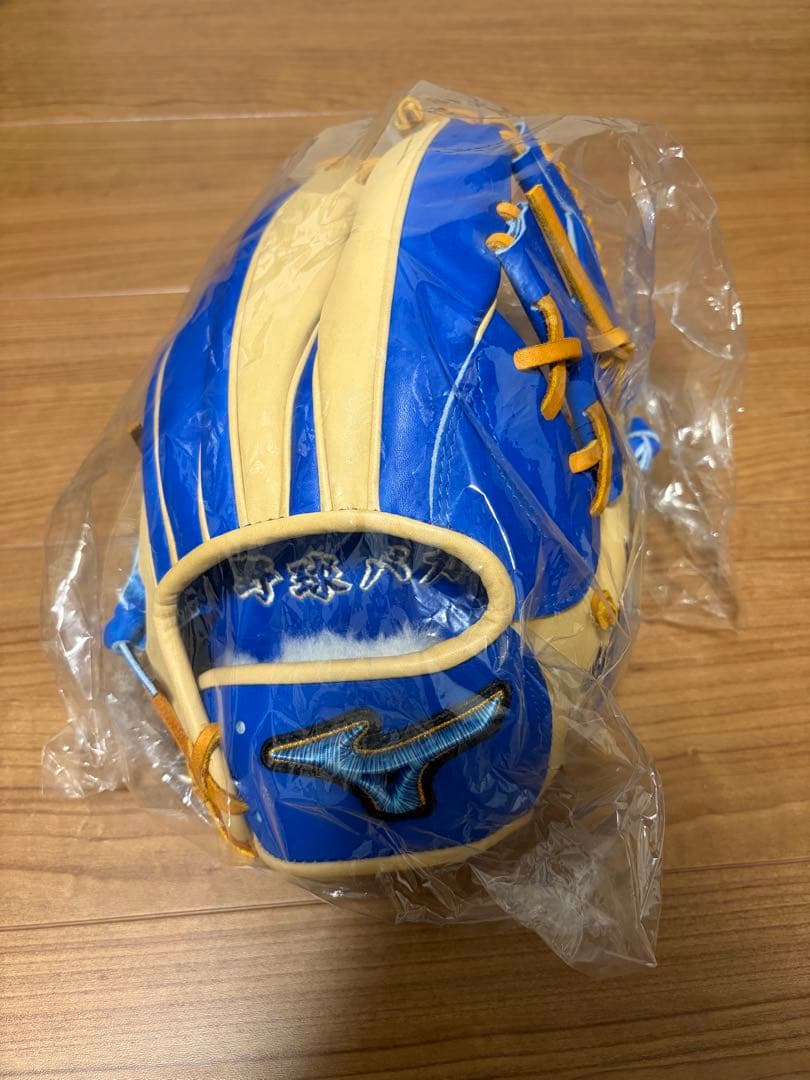 ミズノプロダイバーシティブルー