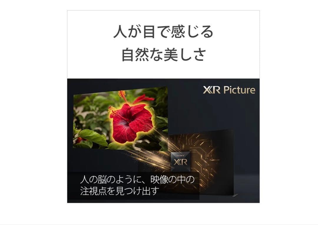 【Alil様】 SONY 2021年製 65型 XRJ-65A90J