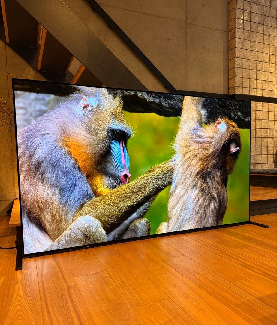 【Alil様】 SONY 2021年製 65型 XRJ-65A90J