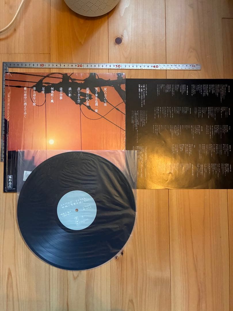 イースタンユース レコード 旅路ニ季節ガ燃エ落チル　eastern youth