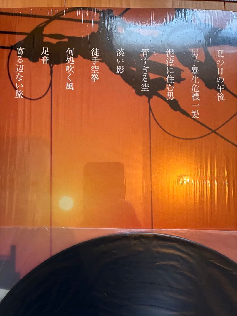 イースタンユース レコード 旅路ニ季節ガ燃エ落チル　eastern youth