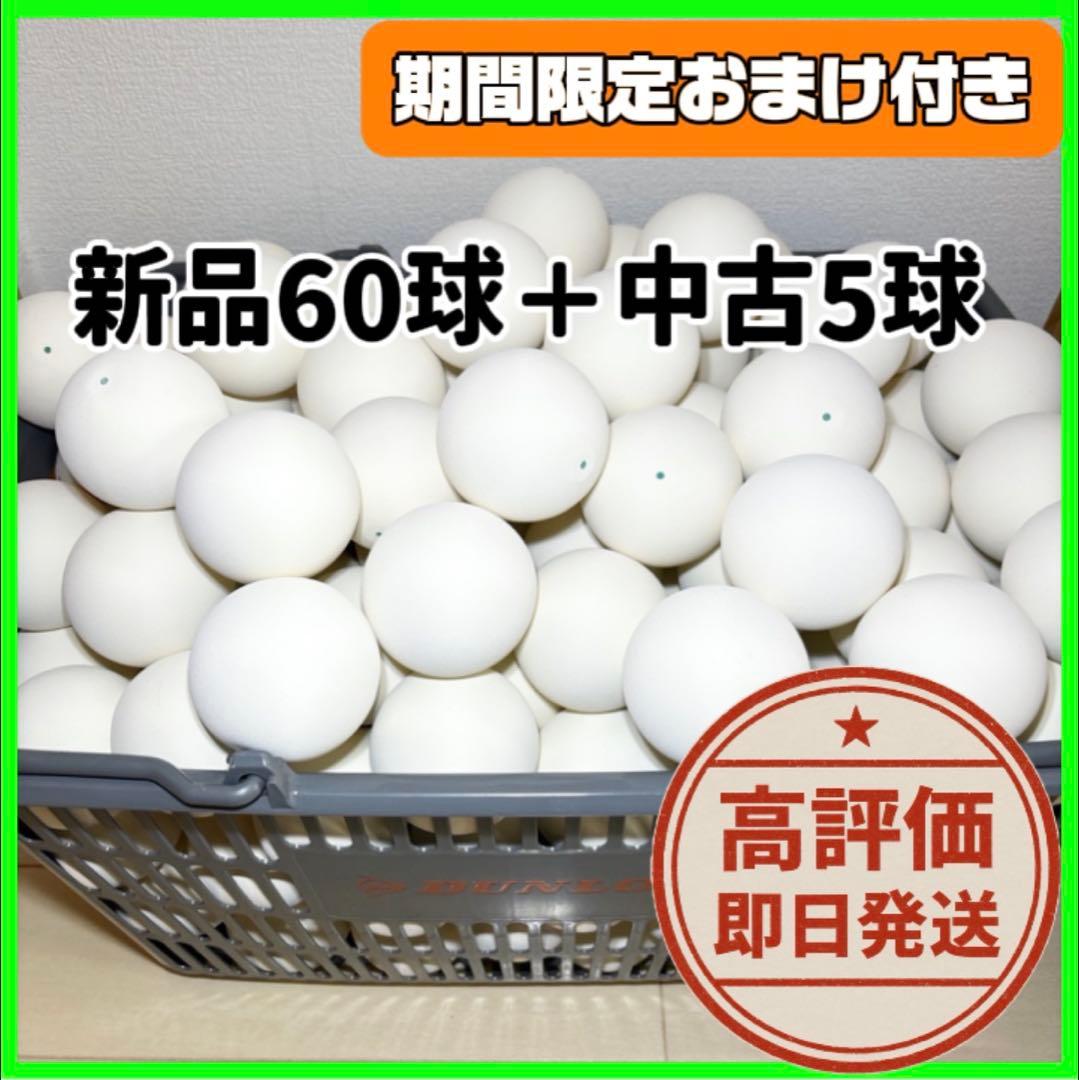【人気商品】ソフトテニス ボール 60球 新品 即日発送