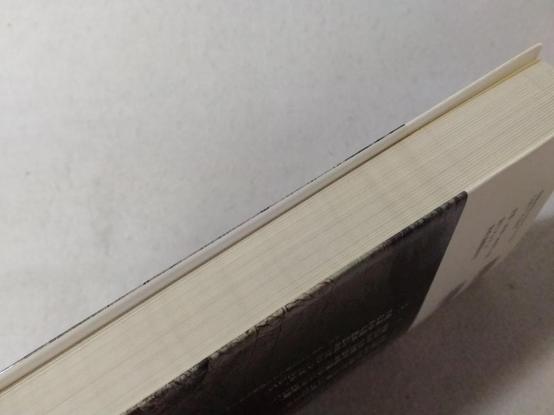 ルーンの教科書 ルーン文字の世界 歴史・意味・解釈