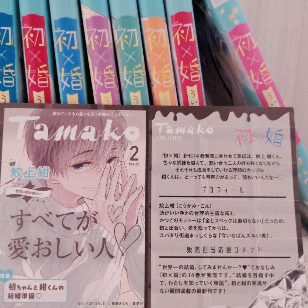 初×婚　17巻まとめ売り　うい×こん　全巻　小冊子　特典　結婚式招待状風カード