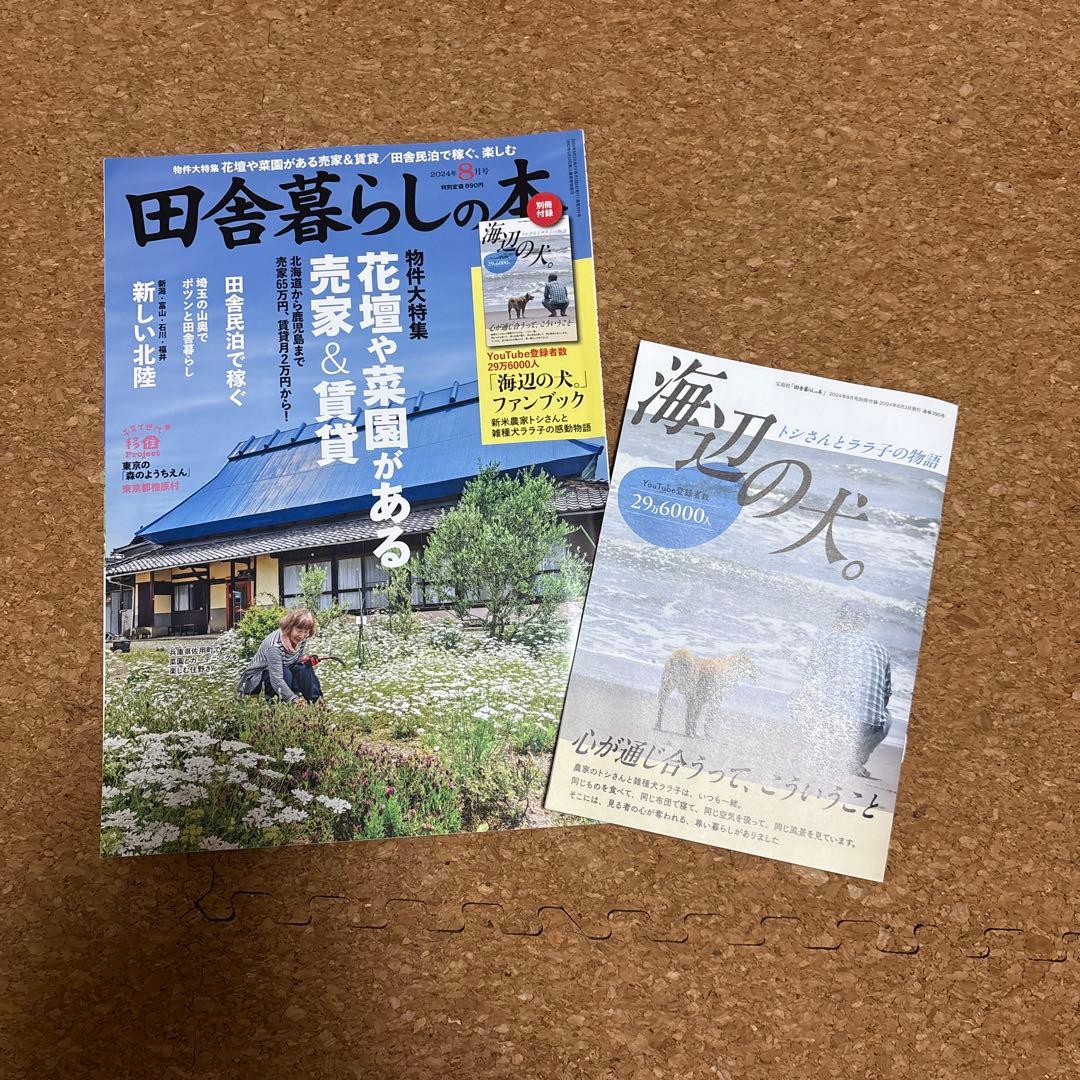 田舎暮らしの本 2024年8月号