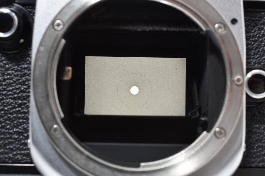 【美品】Nikon ニコン F2 フォトミック シルバーボディー 【動作確認済】