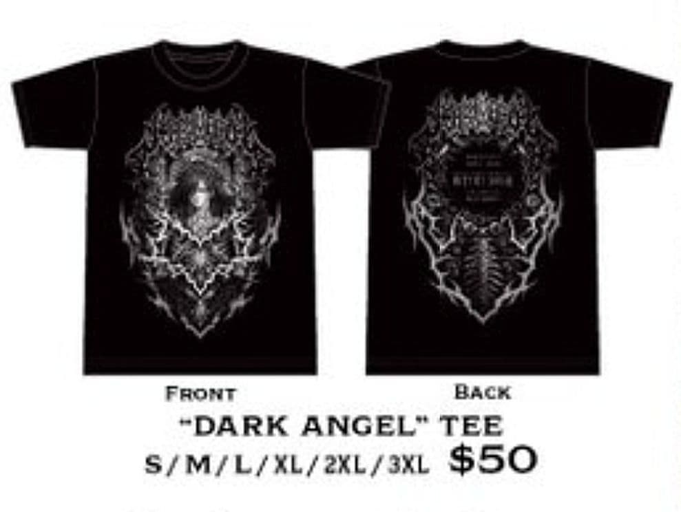 新品 Mサイズ US INTUIT DOME 限定 BABYL Tシャツ