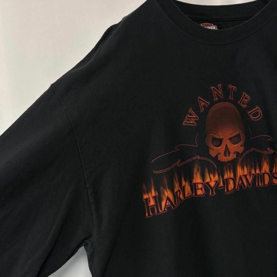 USA製 ハーレーダビッドソン　ロングTシャツ　XL ロンT ブラック フレイム