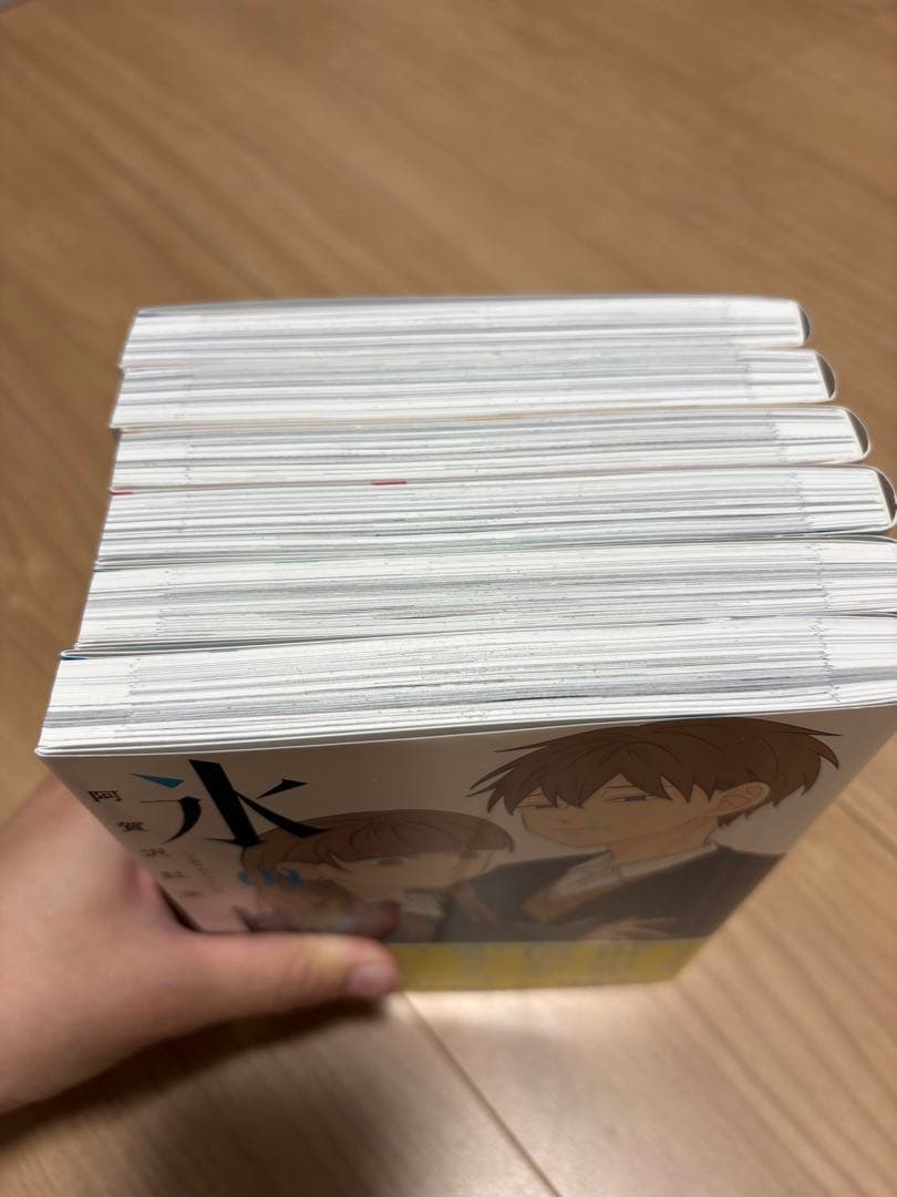 氷の城壁 1〜13巻セット