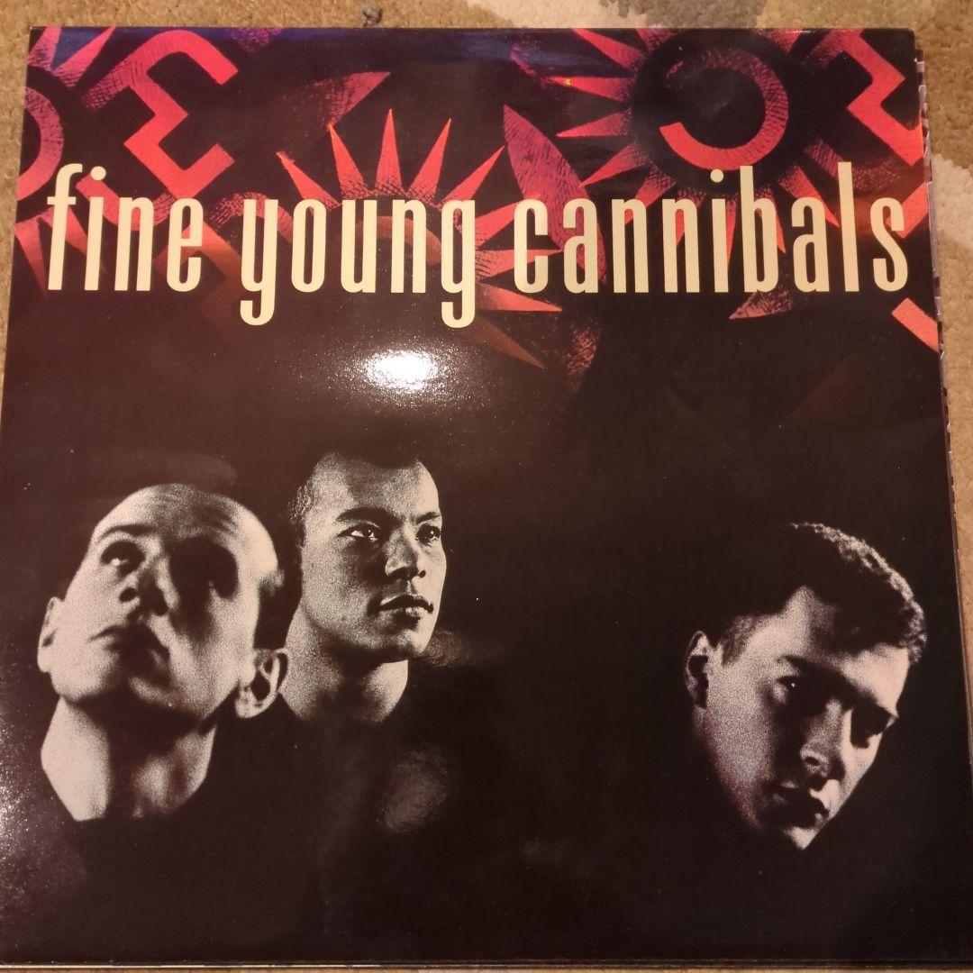 洋楽 FineYoungCannibals The Raw & The Cooked