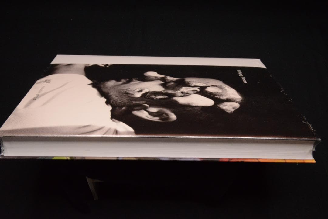 【Wolfgang Tillmans】　新品　　★★大幅に値下げしました