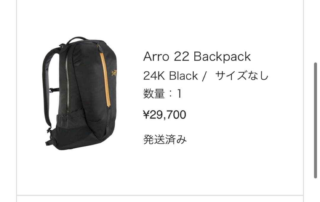 【年始ゲリラセール中】Arc'teryx Arrow22 black