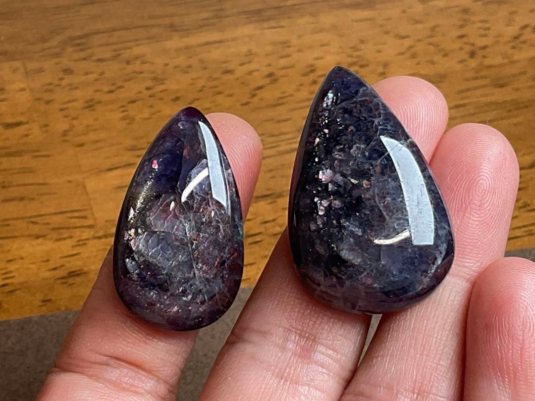 でんちゃん 10/16