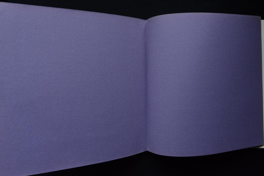 WORK FROM THE SAME HOUSE：Lee Friedlander