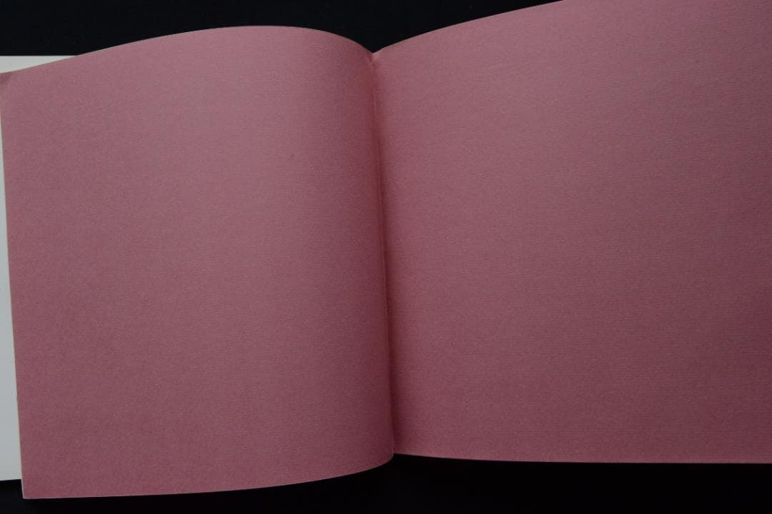 WORK FROM THE SAME HOUSE：Lee Friedlander