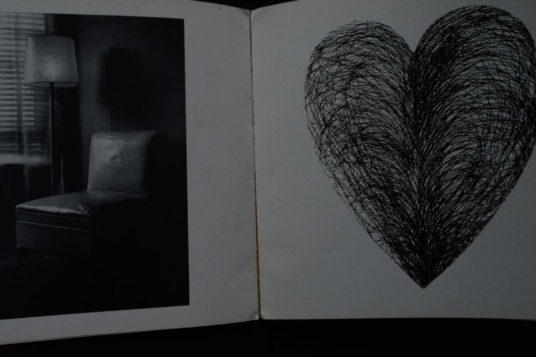 WORK FROM THE SAME HOUSE：Lee Friedlander