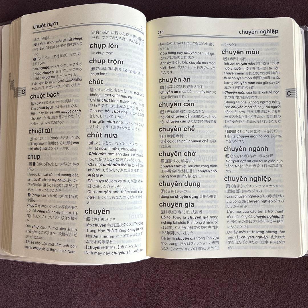 ベトナム語辞典　増補改訂版