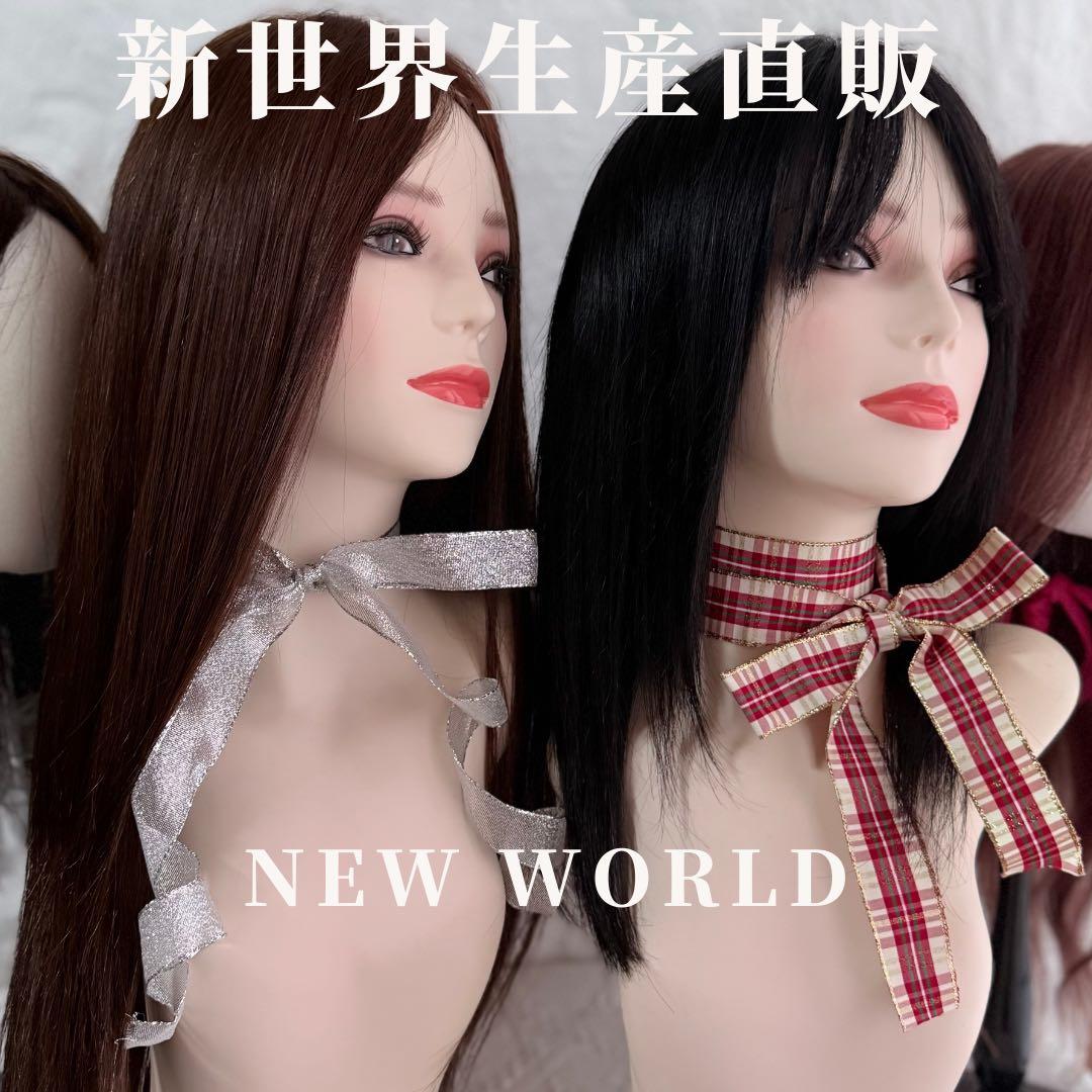 2025新世界　人毛　フルウィッグ　ウィッグ　シルクスキン　医療ウィッグ　レミー