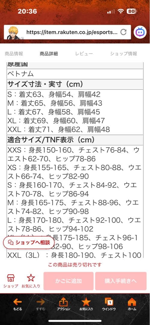 THE NORTH FACE アコンカグアダウンベスト　クレーグレー