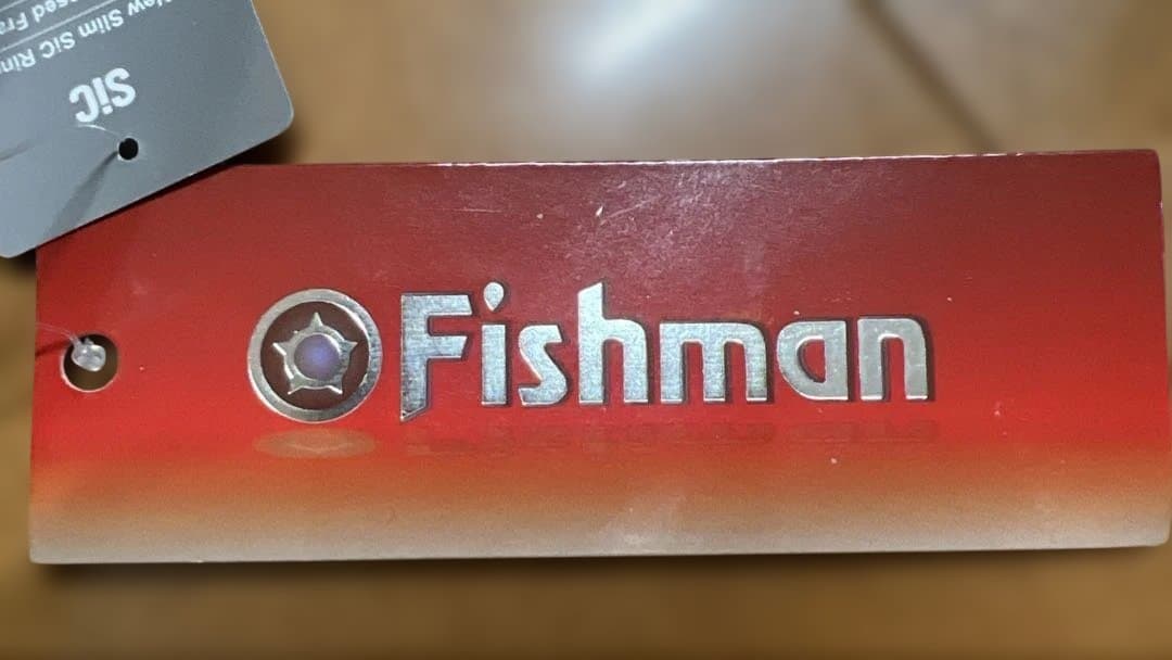 フィッシュマンBeams blancsierra 3.9UL Limited