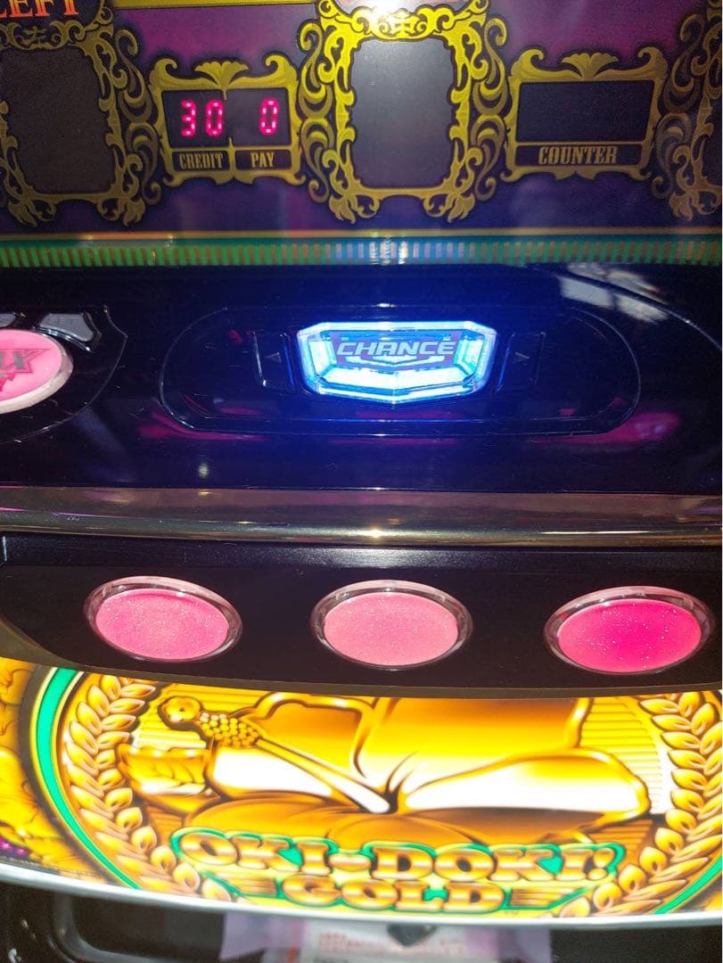 S/沖ドキ!GOLD/LS 不要機付き