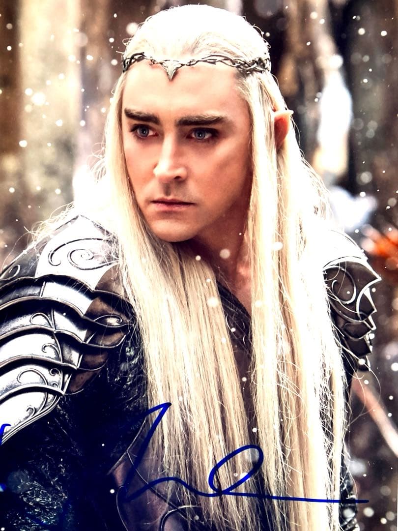 セール中…リー・ペイス直筆サイン入り超大型写真…