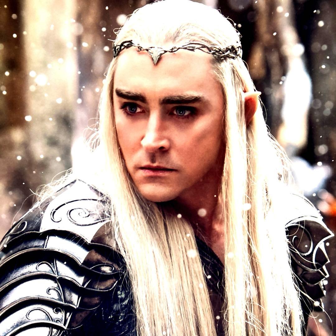 セール中…リー・ペイス直筆サイン入り超大型写真…