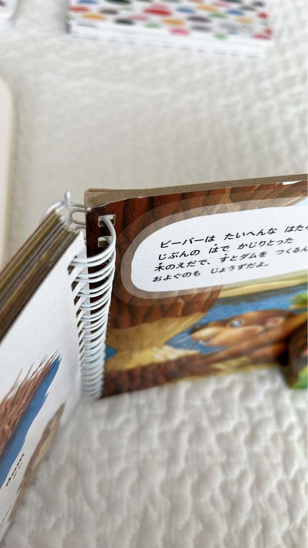 WORLD LIBRARY ワールドライブラリー　まとめ売り　16冊　0-2歳