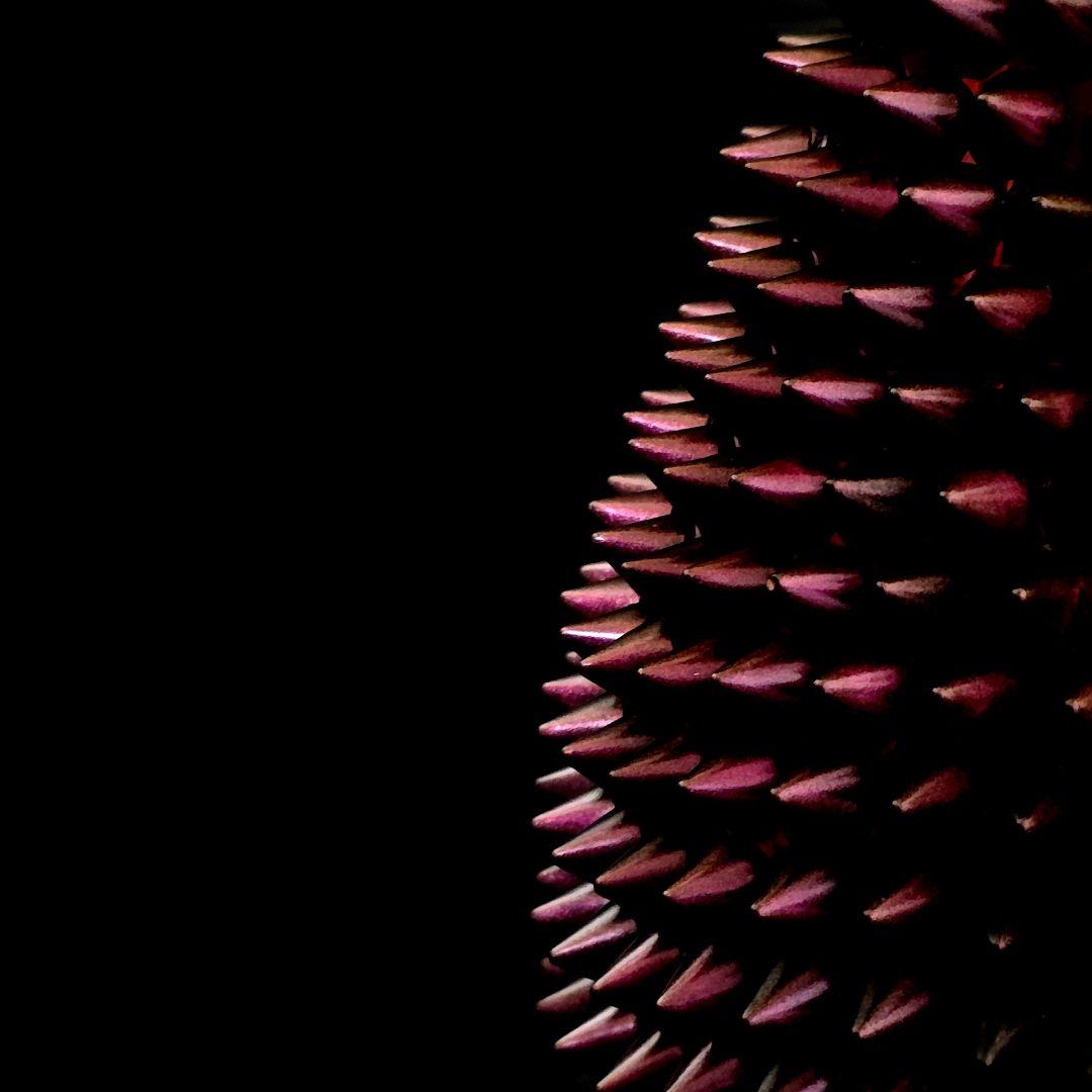 【24時間以内発送】アルマンド レッド バイカラー リシュリンクボトル