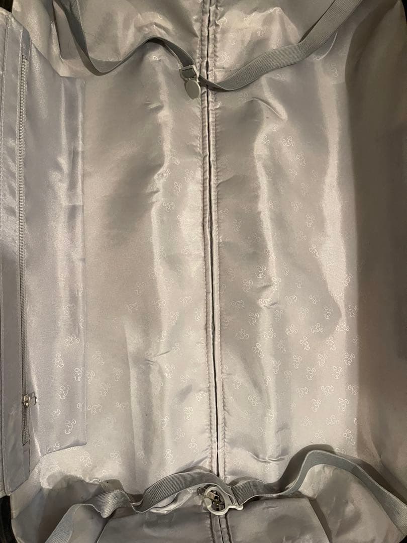 ディズニーランドパリ ミッキー ミニー キャリーケース