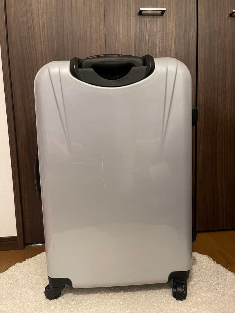 ディズニーランドパリ ミッキー ミニー キャリーケース