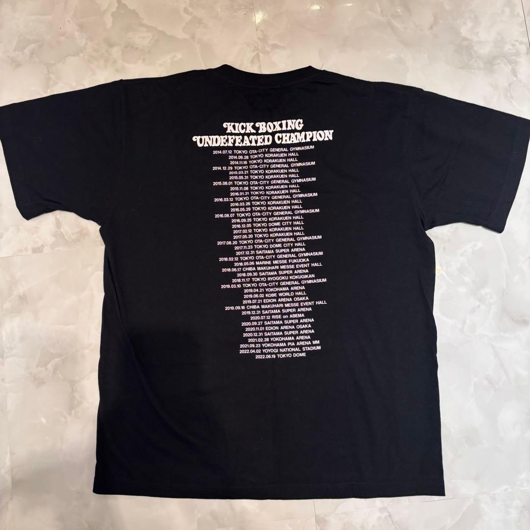 【レア品】TEAM TENSHINポップアップ限定Tシャツ　Lサイズ