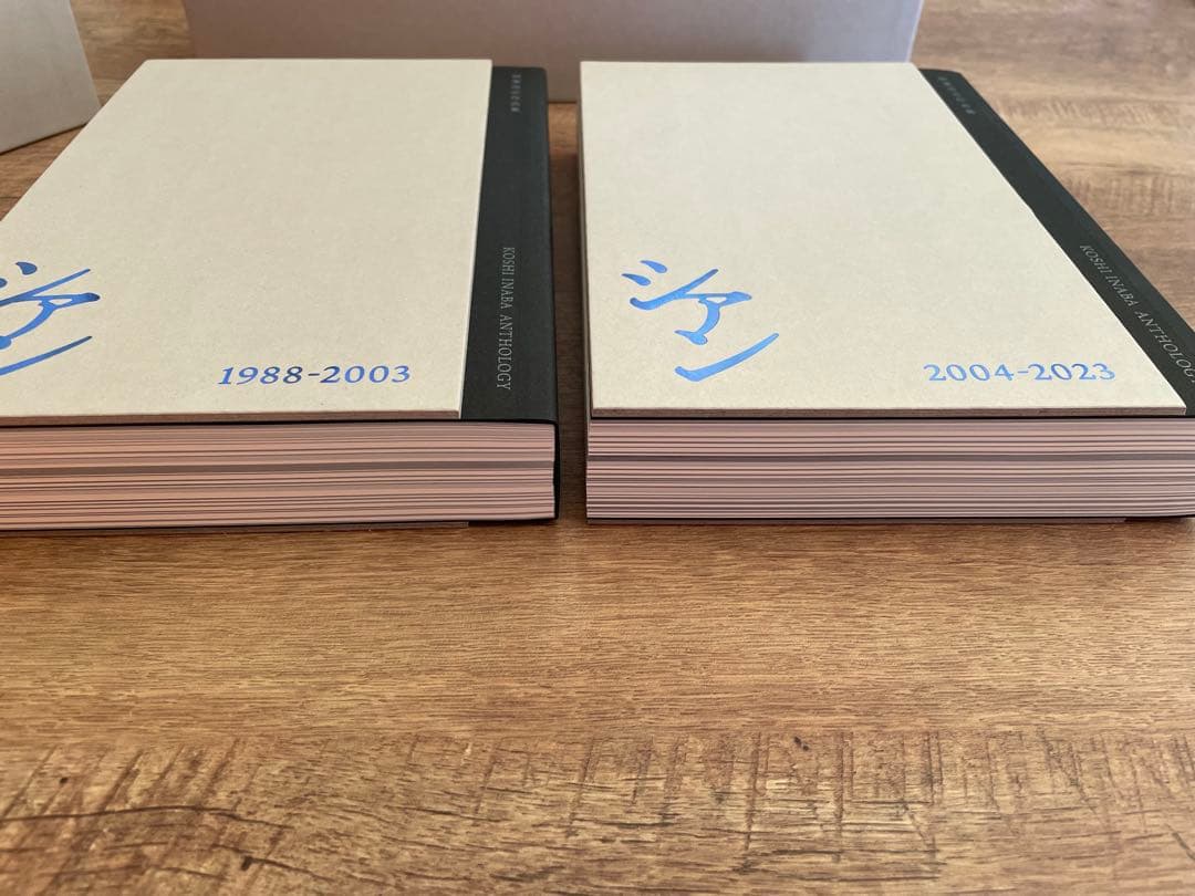 稲葉浩志作品集 シアン新装版 新品