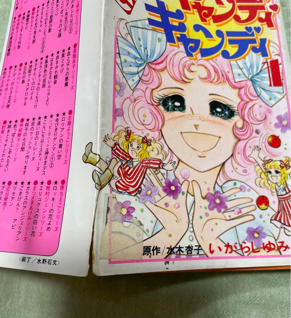 【値下げ！】キャンディキャンディ　全9巻