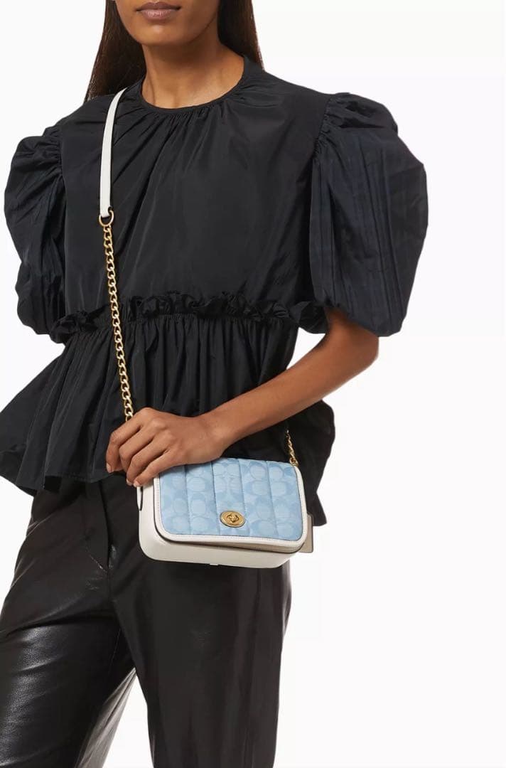 COACH ディンキー 18 シグネチャー シャンブレー