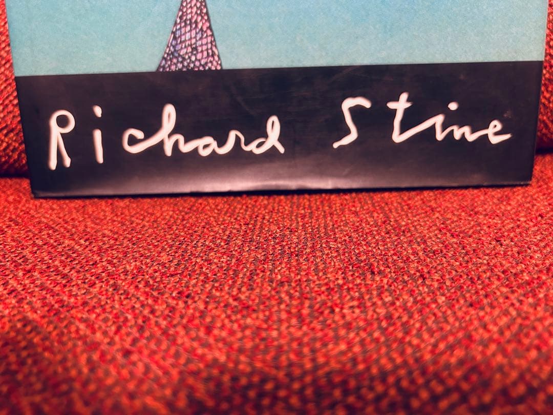 【希少 Richard Stine リチャード・スタイン 写真集　洋書】