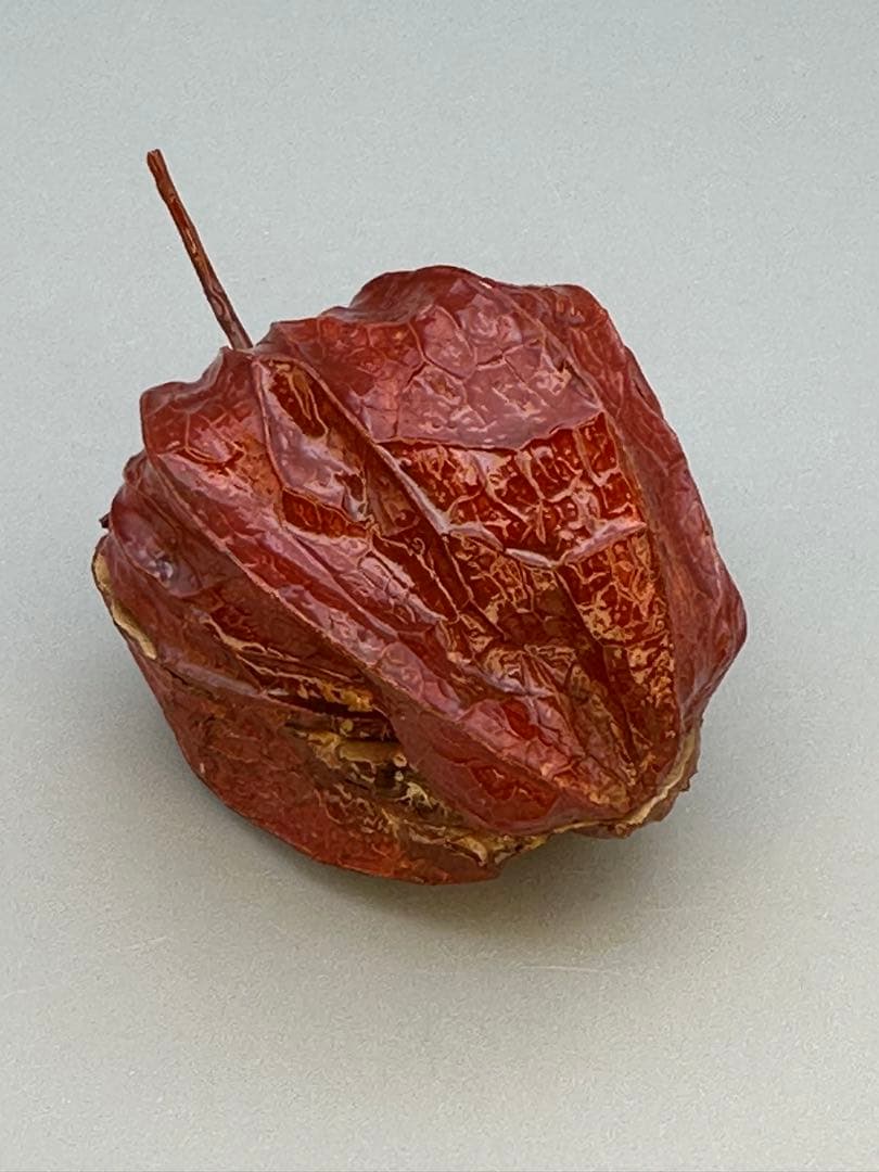 のんびり茶道具　香合　前端春斎　ホウヅキ