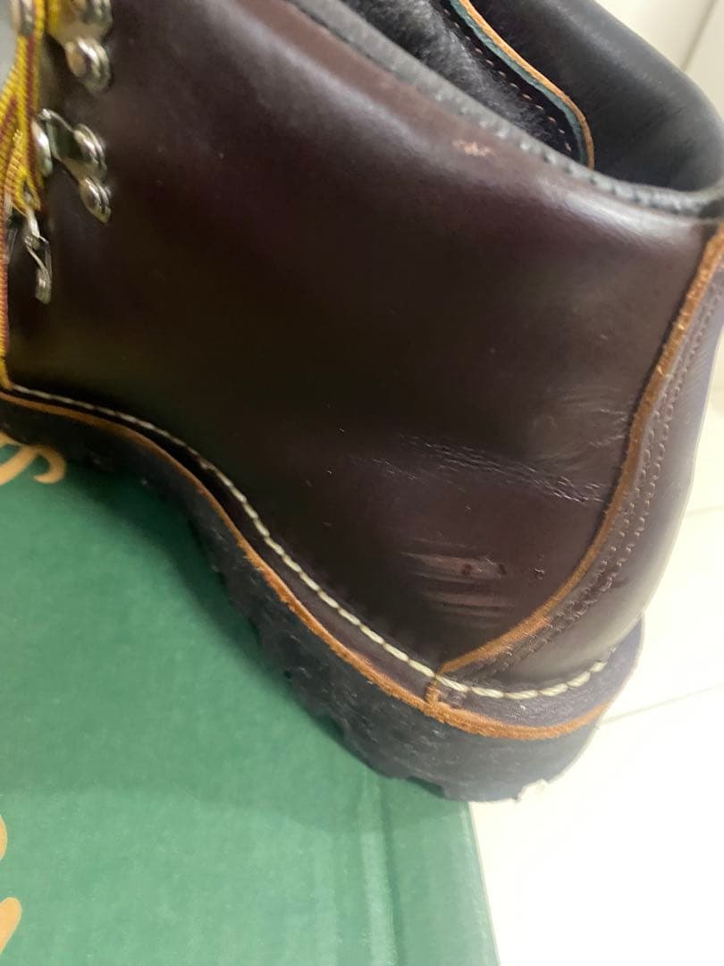 Danner ダークブラウン マウンテンライト