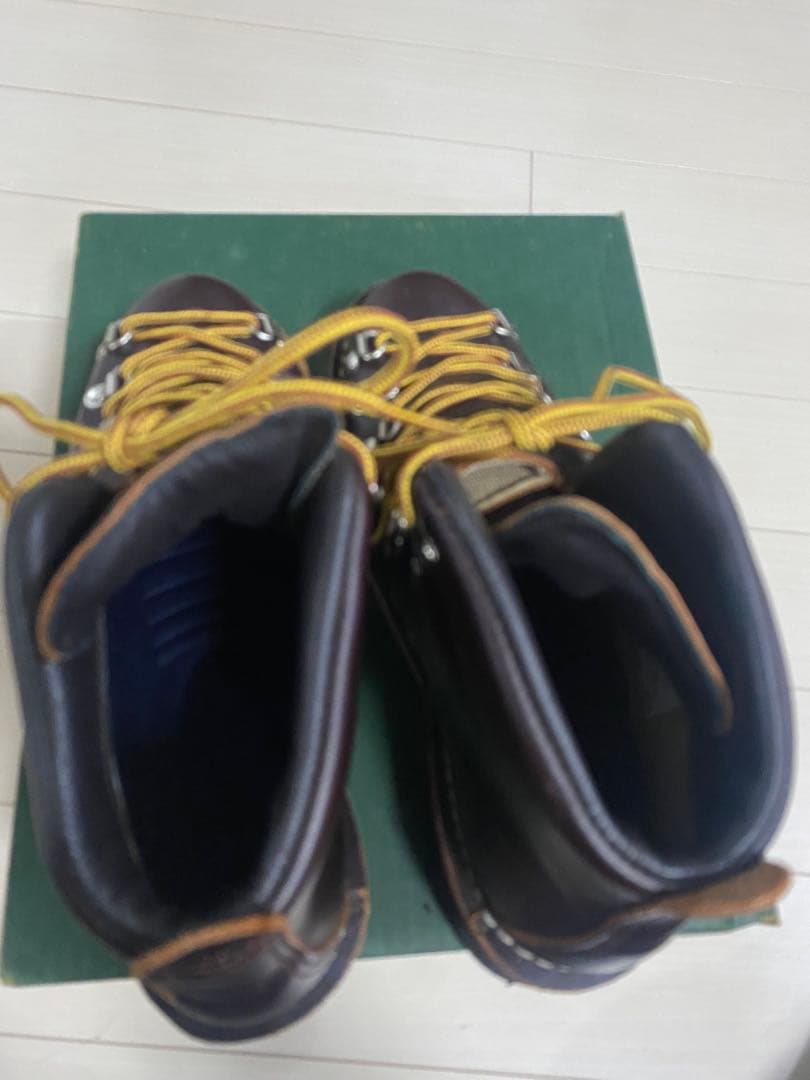 Danner ダークブラウン マウンテンライト