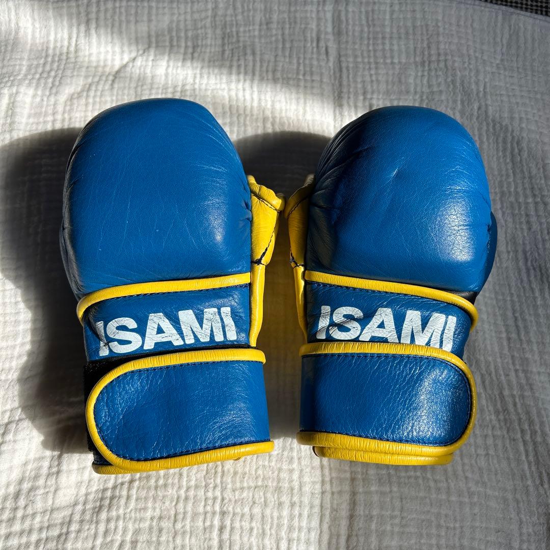 ISAMI パウンドグローブ 青/黄