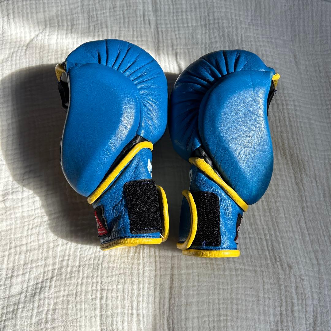 ISAMI パウンドグローブ 青/黄