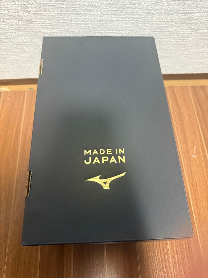 モレリアネオ4β JAPAN 25.5cm