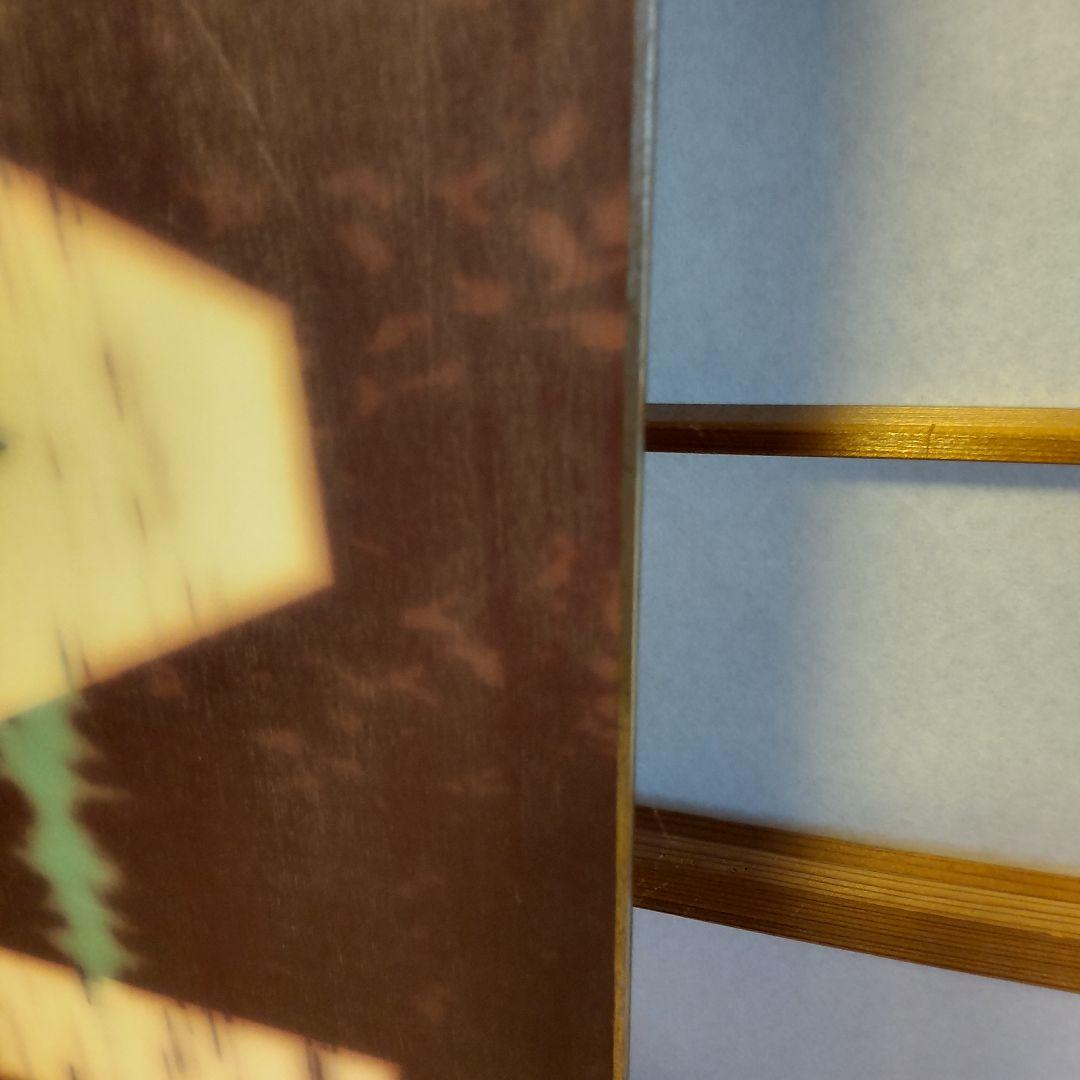 ALLIAN NIRVANA スノーボード 154cm　2016-17