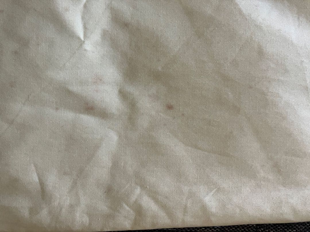 マ*ウ様 藤城清治 月光の響き 限定　409/450