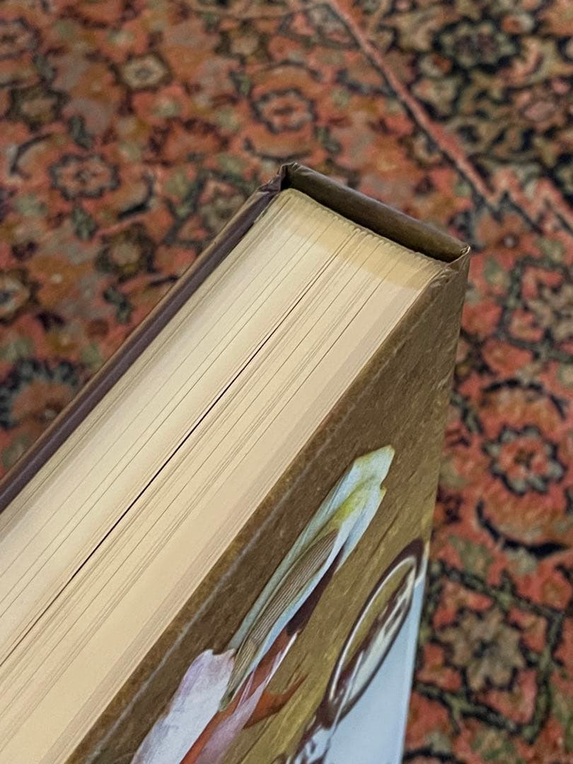 レア 書籍 WE WERE RAD BOOK 洋書 old school bmx